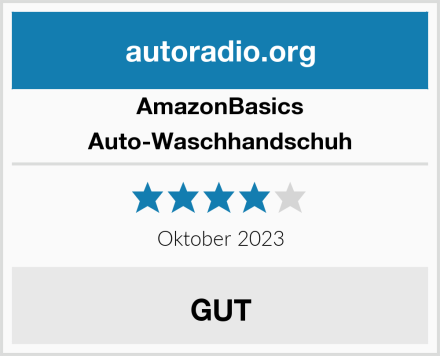 AmazonBasics Auto-Waschhandschuh Test
