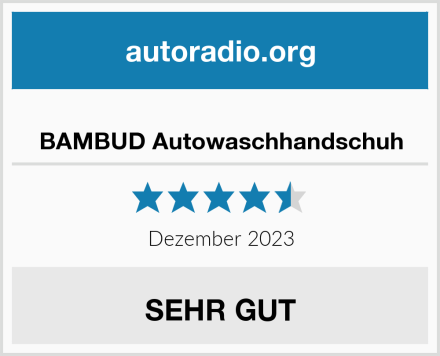  BAMBUD Autowaschhandschuh Test